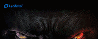 83148df2353d01c894b469b50975032e_1694400478_4988.gif