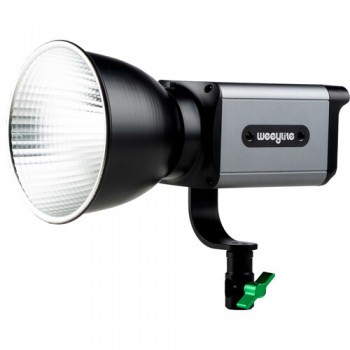 [리퍼비시 A] Weeylite Ninja 200 바이컬러 LED 조명